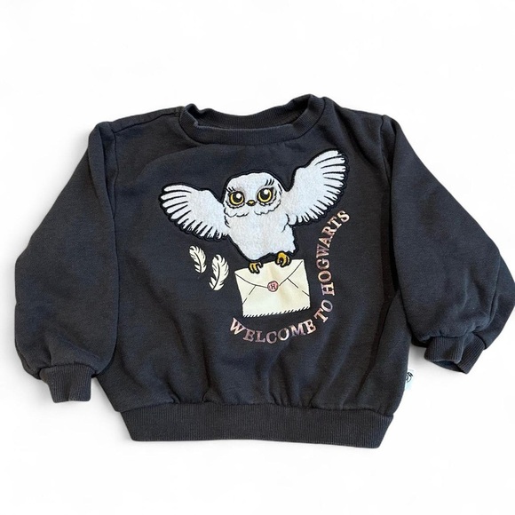 H&M Other - Harry Potter x H&M Hogwarts Hedwig Sweater 2T